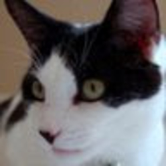 Meet your Posher, Hoan vu - Picture 1 of 1